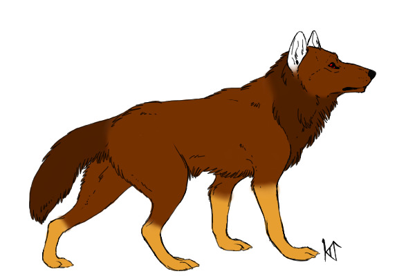 Solomon ref.
