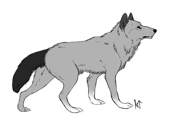 Dain ref.