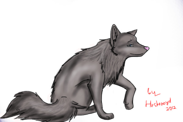 Wolf