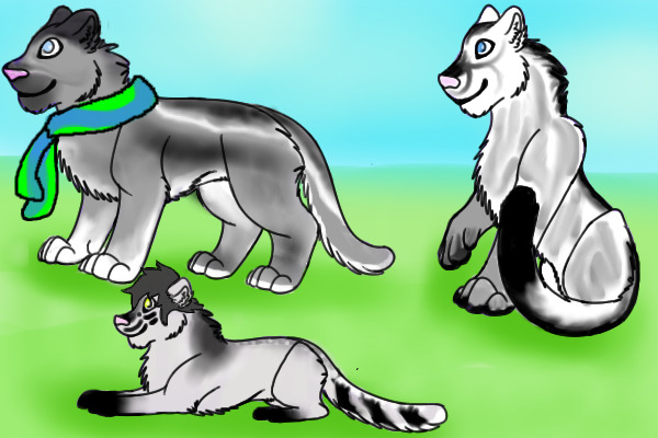 Kittens