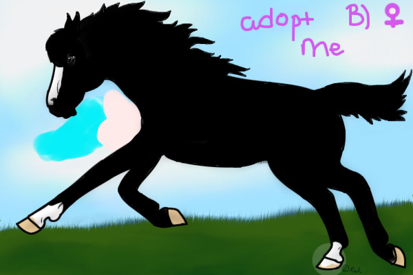 black mare