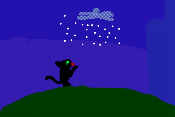 Cat at Midnight (A)