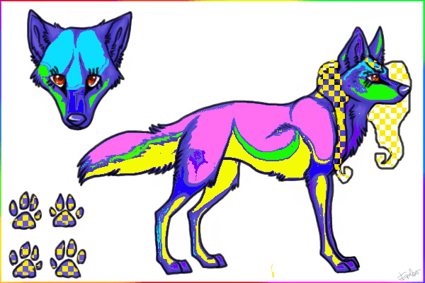 Dog for contest