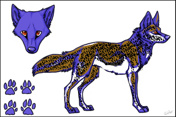 Wolf/dog