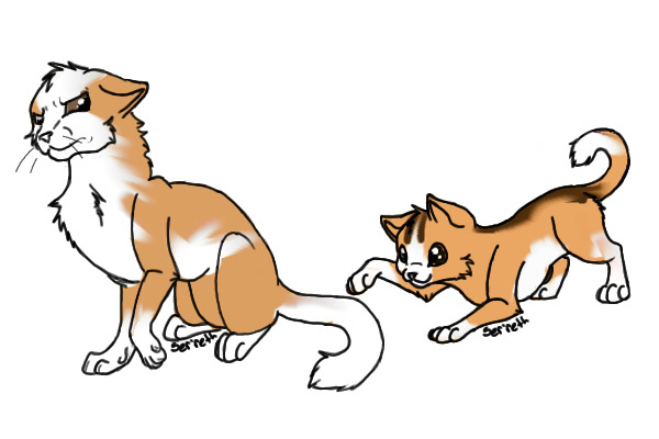 My Kitties
