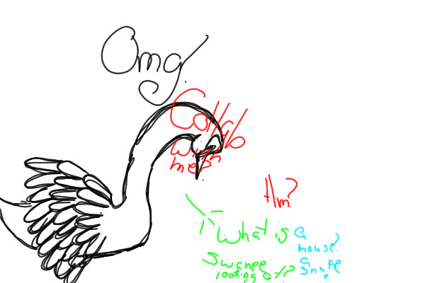 Swan collab!