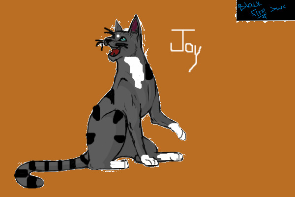 Joy The Cat!!  :D