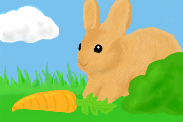 Rabbit Drawing. ^^
