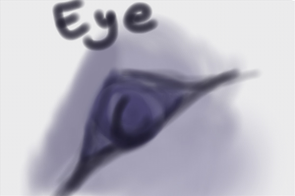 eye