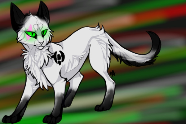 HER NEW LOOK!! CAT FORM