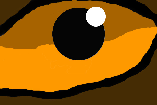 A wolf's eye