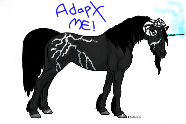 Blue River male for adoption!