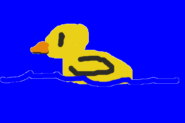 duck