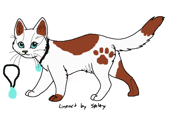 Nikki the cat!!