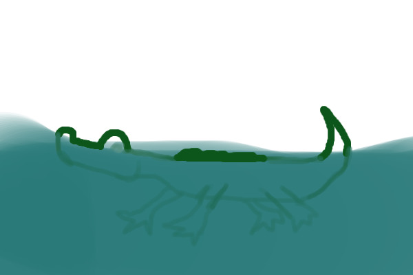 Alligator in progress