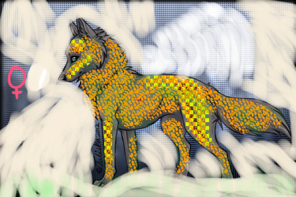 Contest entry