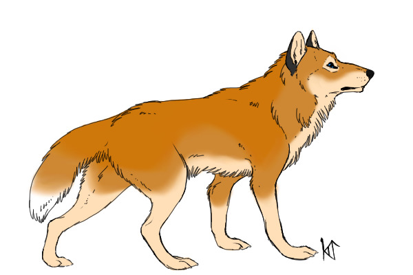 Jesse ref.