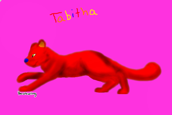 tabitha
