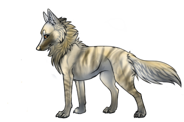 Hyena Design