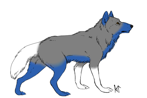 Raven ref