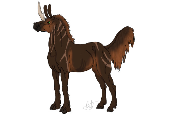 Copper Daran