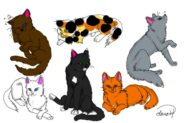 Randomly Coloured Cats
