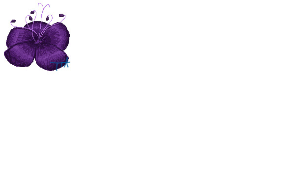 Purple flower head