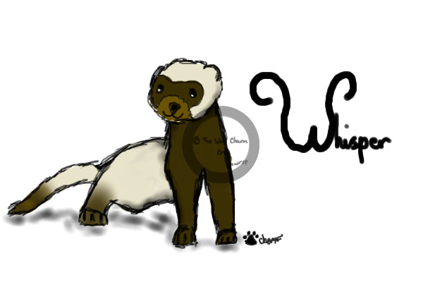 Whisper (My ferret char and mascot for howrse ec)