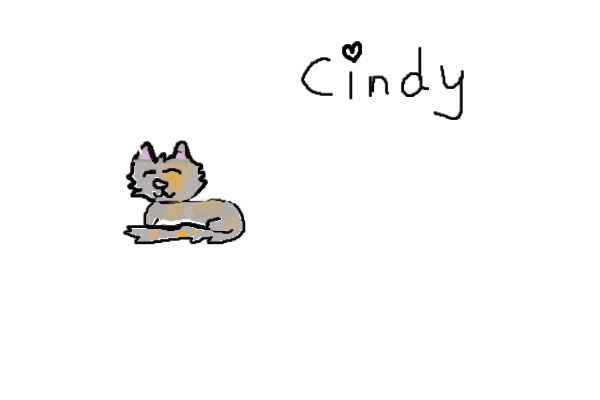 my kitty cindy
