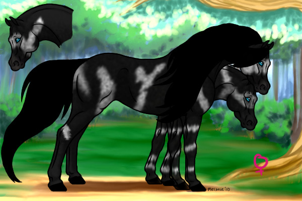 Fail's Stables Seventh Horse Adopt {Adopted}