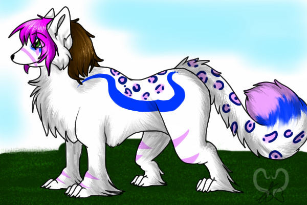 Alisa Alexandra(New Design & Info)