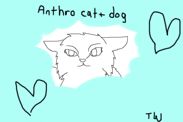 Anthro Dog + Cat