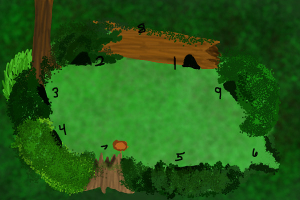 SwiftClan Camp