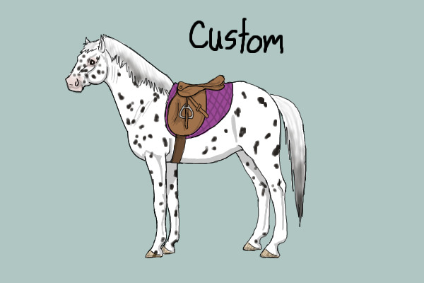Custom POA for Luna Eclipsed