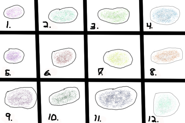 Adopt a Sparkle Rock!!