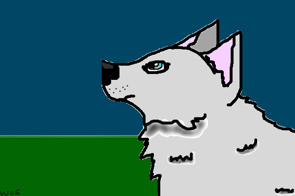 First wolf fur texture
