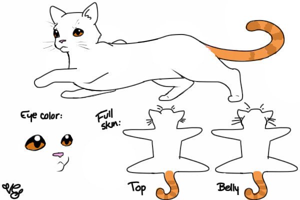 spicetail