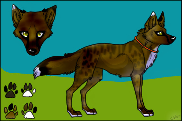 Wolfy