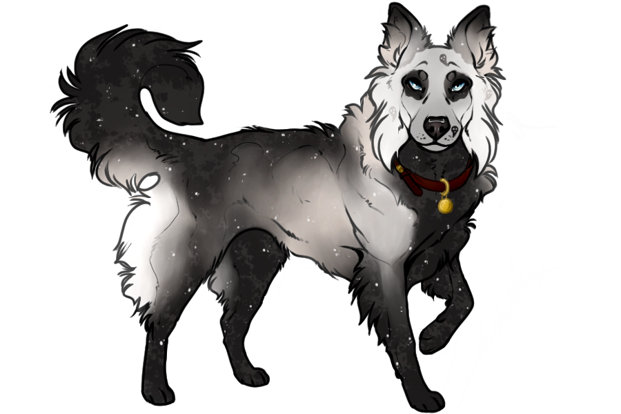 Alice (update profile) on Toyhouse