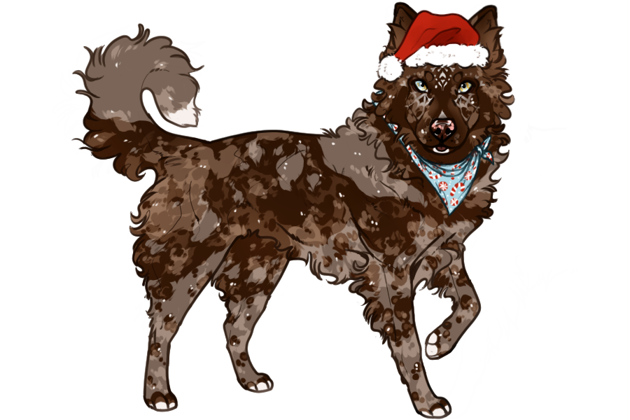 Twix (update profile) on Toyhouse