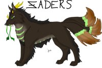 Zaders Contest Entry 1/2