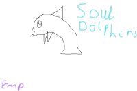 ♥Soul Dolphins♥