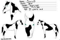 Jack the quarter horse :)
