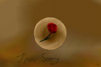 I'm Sorry ~