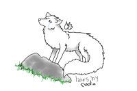 Longtail Wolf