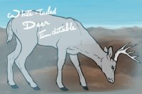 Stag Editable - UPDATED 2022