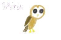 Spirit the owl