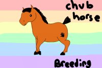 Chub Horse Breeding-Closed for a long while