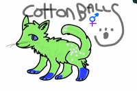 CottonBall Adopts c: