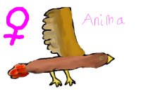 Red-tailed hawk ~ Anima {Feathersona}